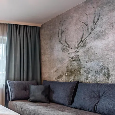 Montana 메이른호픈