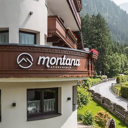 Montana 酒店 3*