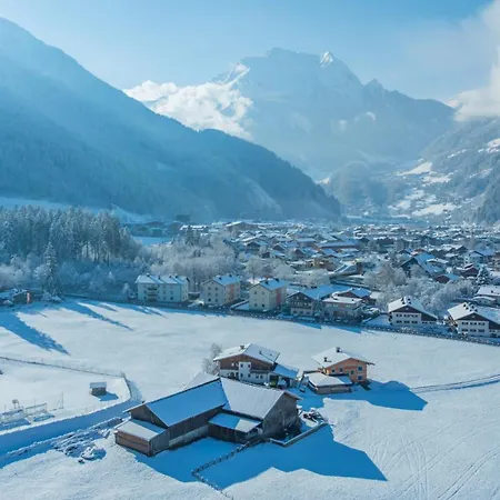 Montana 메이른호픈