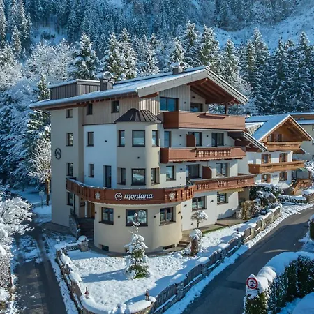 Montana 호텔